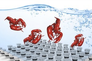 生蠔如何快速清洗？超聲波清洗機(jī)讓生蠔小龍蝦田螺大閘蟹更美味